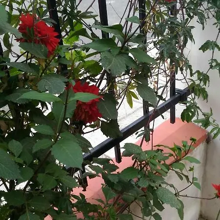 Private In Apartment Nesebar